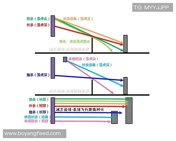 西安羽毛球队反击战术深度分析与实战应用探讨