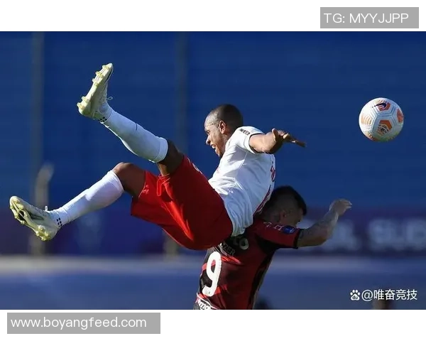 外号小猪的足球明星如何在绿茵场上展现独特魅力与实力